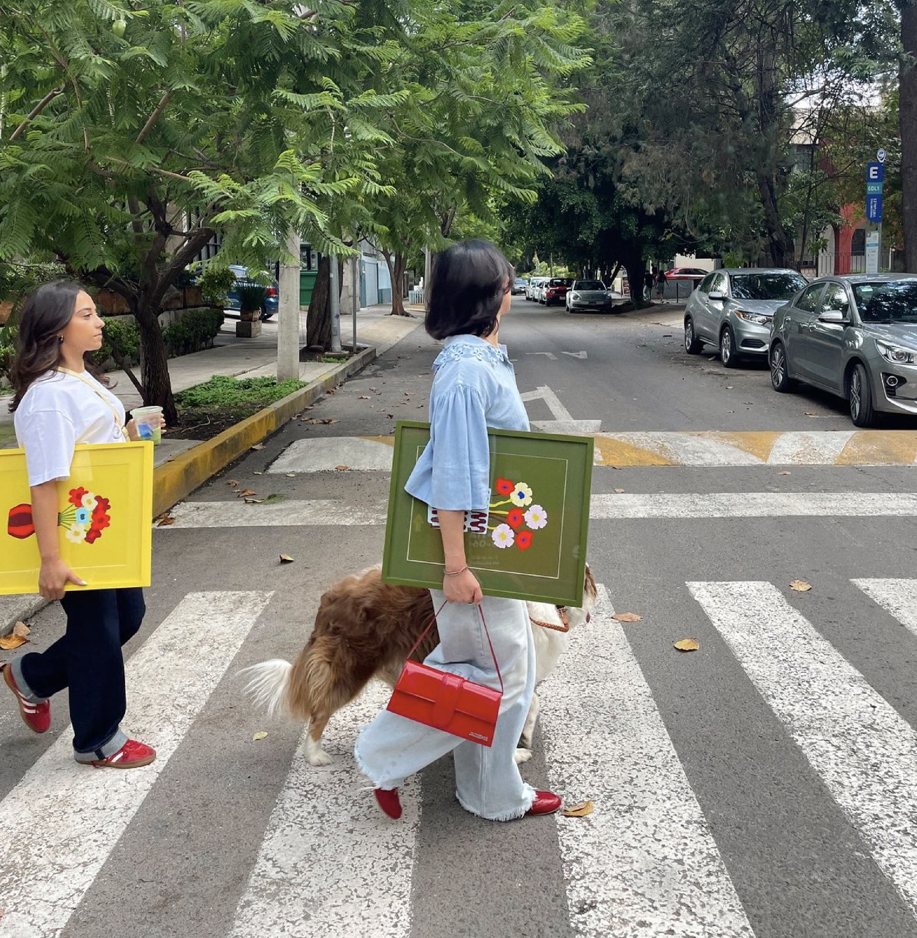 Colores Vibrantes / 07 (Enmarcado)